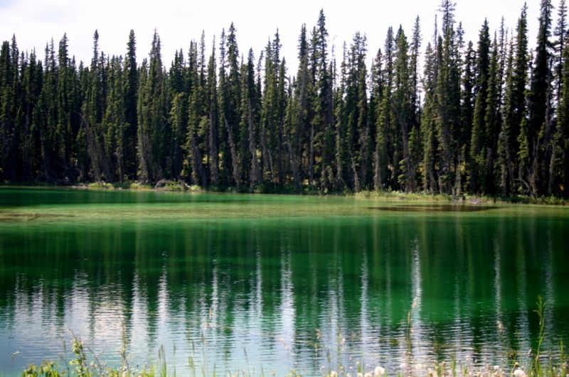 062104 Hyder Cassiar to Skagway Ak (10099)